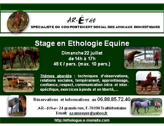 flyer-stage-etho-22-07-12.jpg