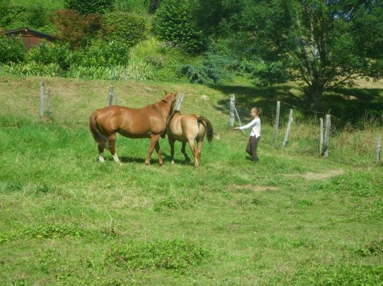 formation-etho-equine-22-07-20.jpg