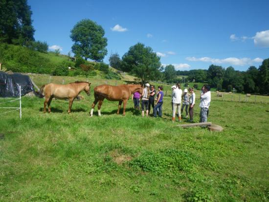 formation-etho-equine-22-07-30.jpg