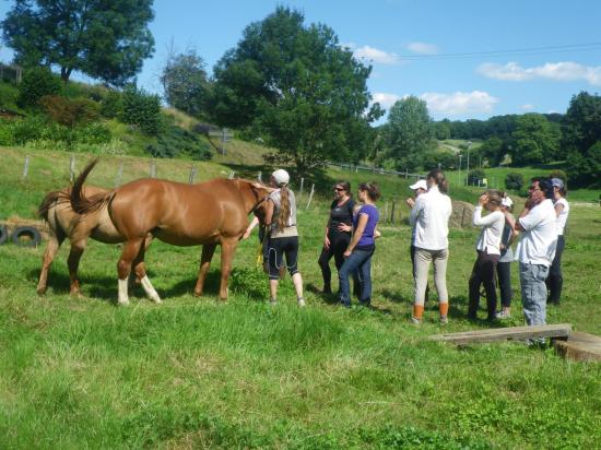 formation-etho-equine-22-07-31.jpg