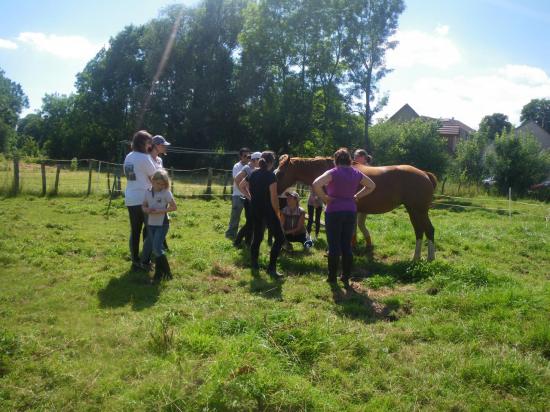 formation-etho-equine-22-07-35.jpg