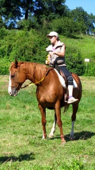 formation-etho-equine-22-07-a-1.jpg